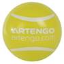 ARTENGO - Shoe Deodorising Balls, Fluo Yellow