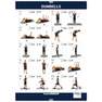 DOMYOS - Fitness Dumbbells Twin-Pack