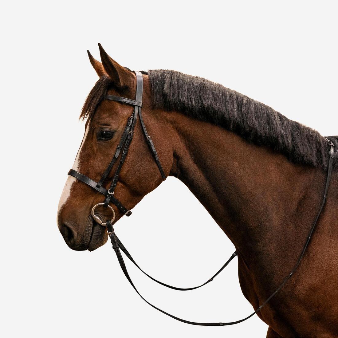 Horse and PonyLeather Bridle With French Noseband and Reins Set100 , Black, , large image number 0