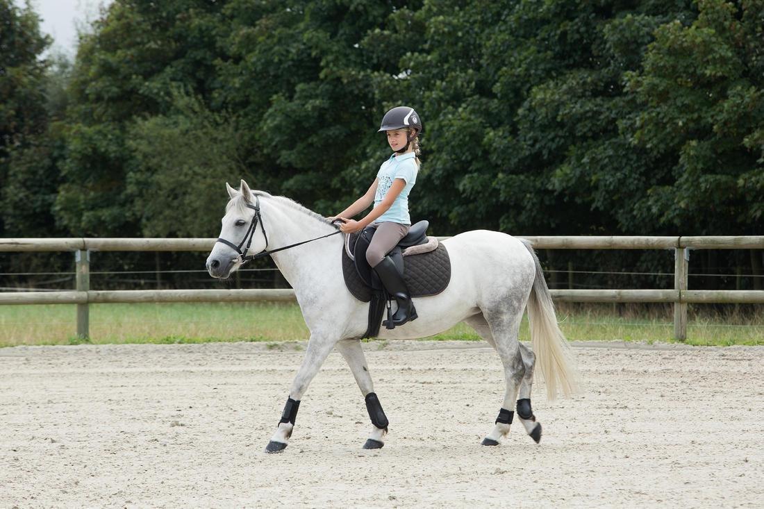 Horse And Pony Leather Bridle With French Noseband And Reins Set 100, Black, , large image number 14