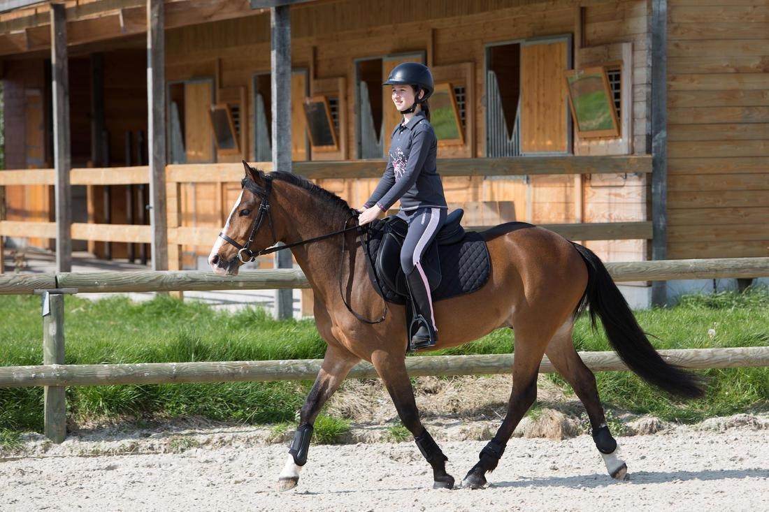 Horse And Pony Saddle Cloth 100, Black, No Color, large image number 3