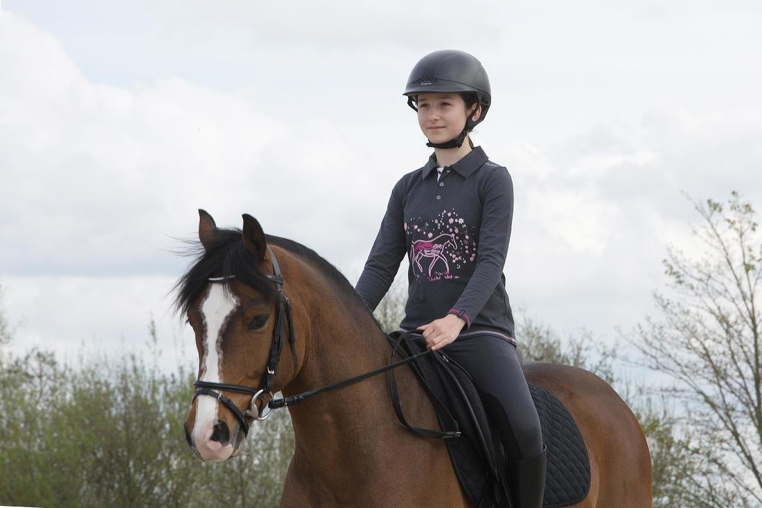 Horse And Pony Saddle Cloth 100, Black, No Color, large image number 7