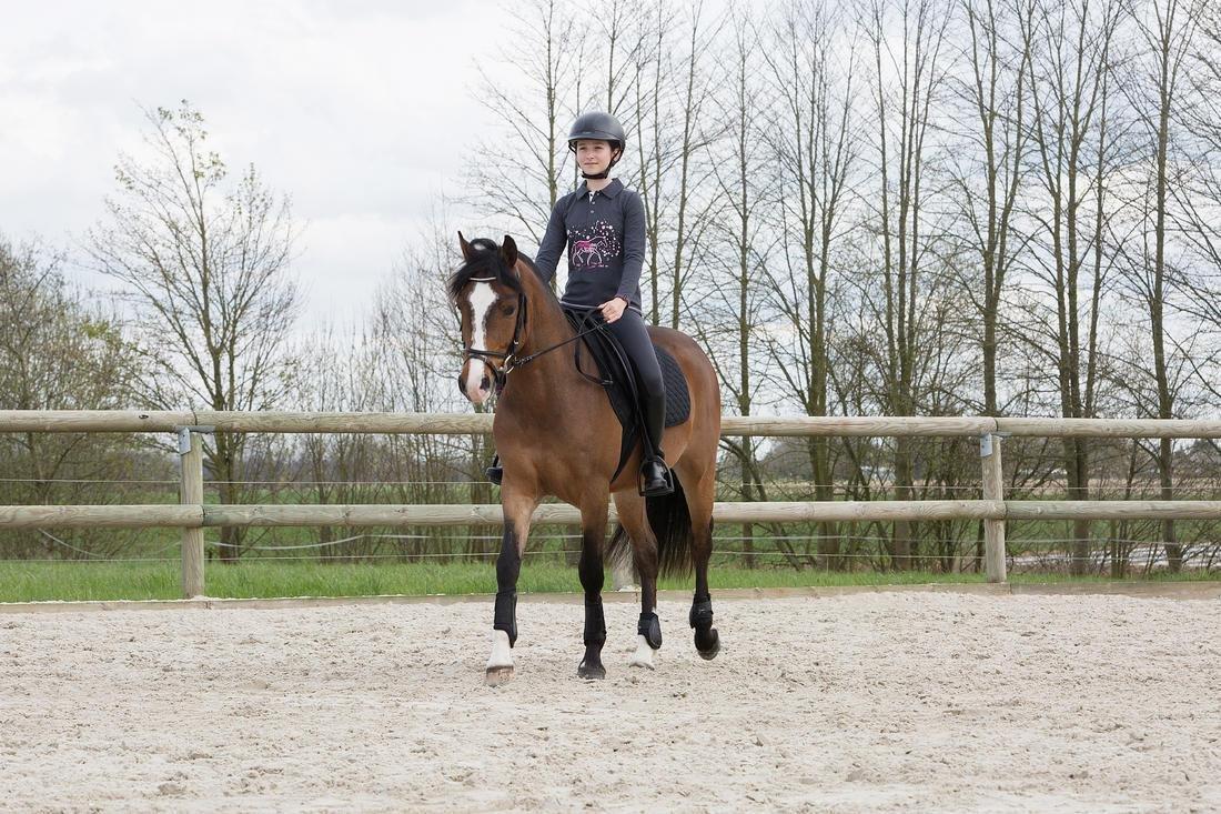 Horse And Pony Saddle Cloth 100, Black, No Color, large image number 8