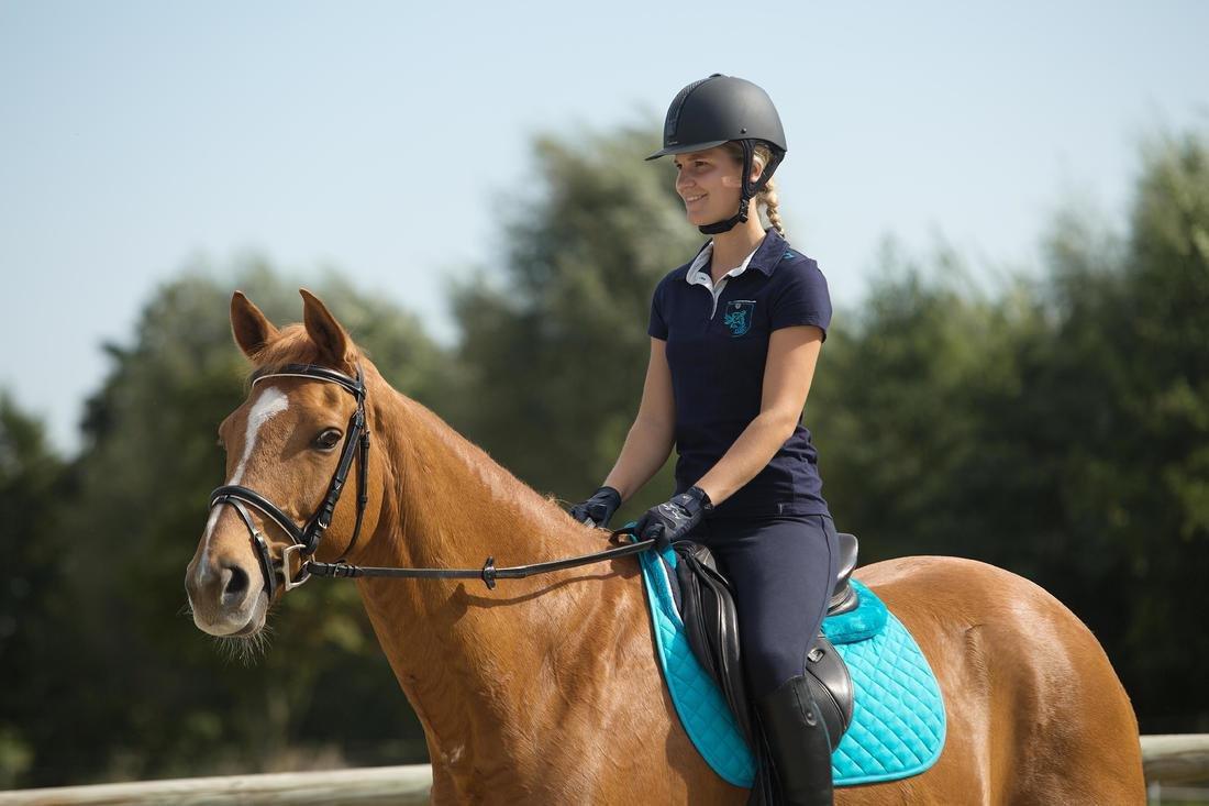 Horse And Pony Saddle Cloth 100, Black, No Color, large image number 10