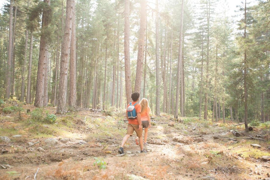 Isothermal Backpack For Camping And Hiking - s - Ice, Caribbean Green, No Color, large image number 4