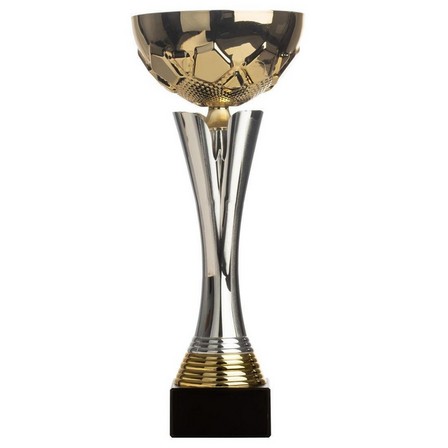 TROPH??�E VAINQUEURS - C535 Cup, Gold/Silver