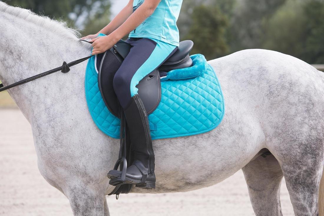 100 Mesh Kids Horse Riding Half Chaps, Black, , large image number 11