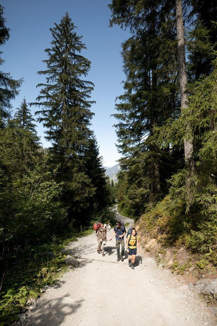 Trekking Carry Bag Duffel 500 Extend, Dark Ivy Green, No Color, large image number 14