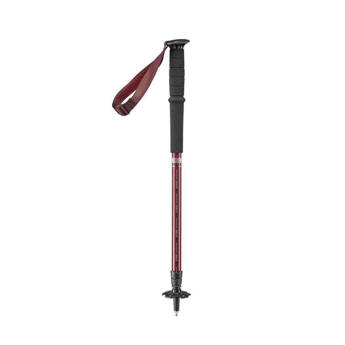Easy Adjust Country Walking Pole | A200, Chocolate Truffle, No Color, large image number 3