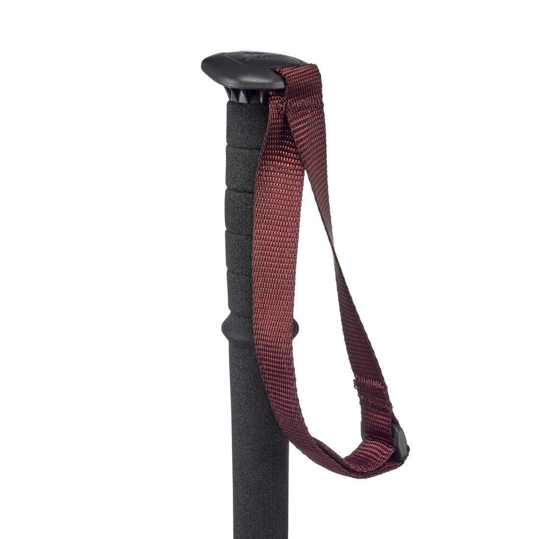 Easy Adjust Country Walking Pole | A200, Chocolate Truffle, No Color, large image number 4