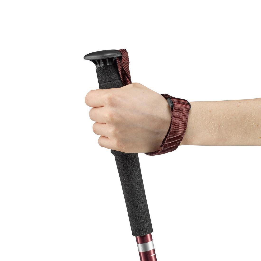 FORCLAZ - Easy Adjust Country Walking Pole | A200, Chocolate Truffle