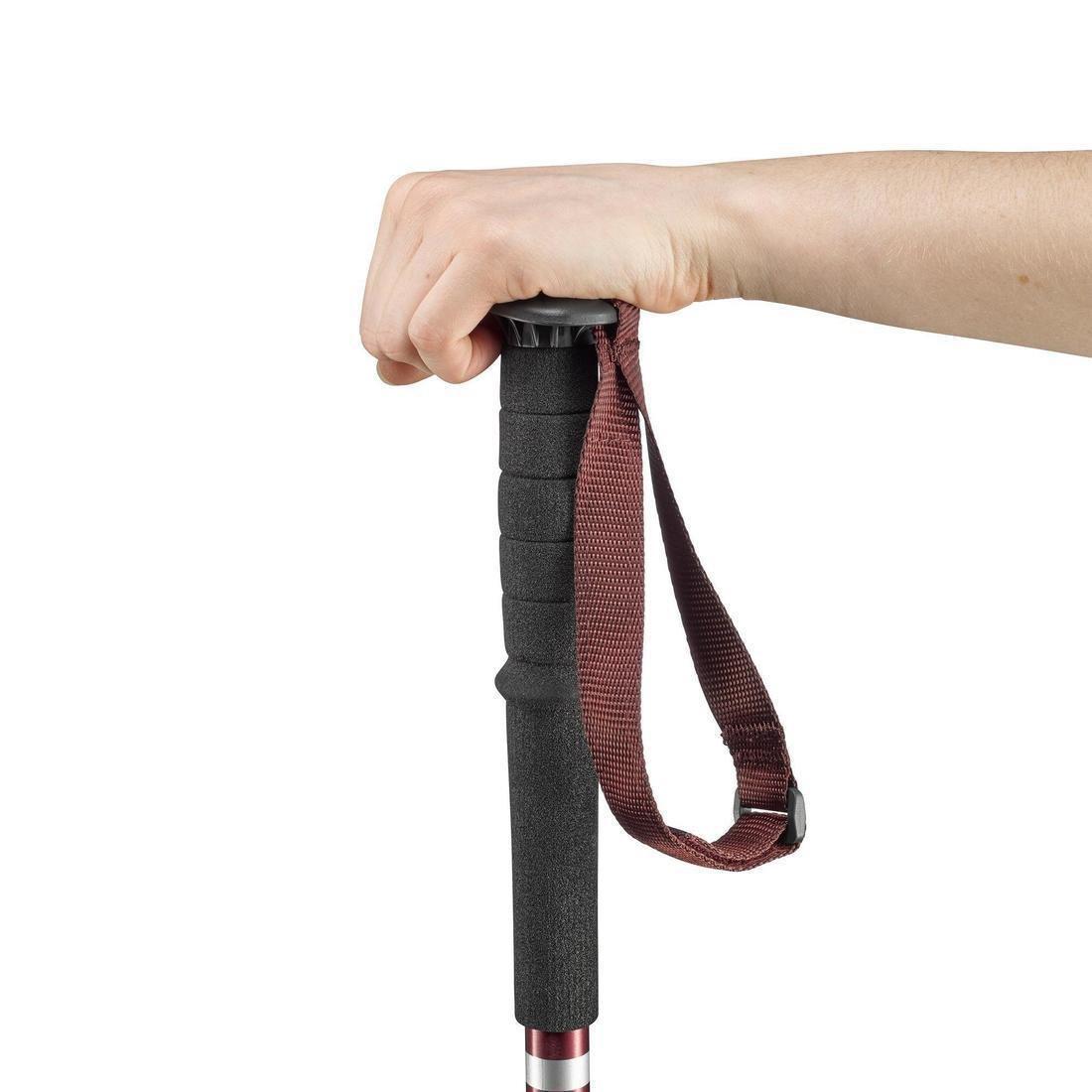 FORCLAZ - Easy Adjust Country Walking Pole | A200, Chocolate Truffle