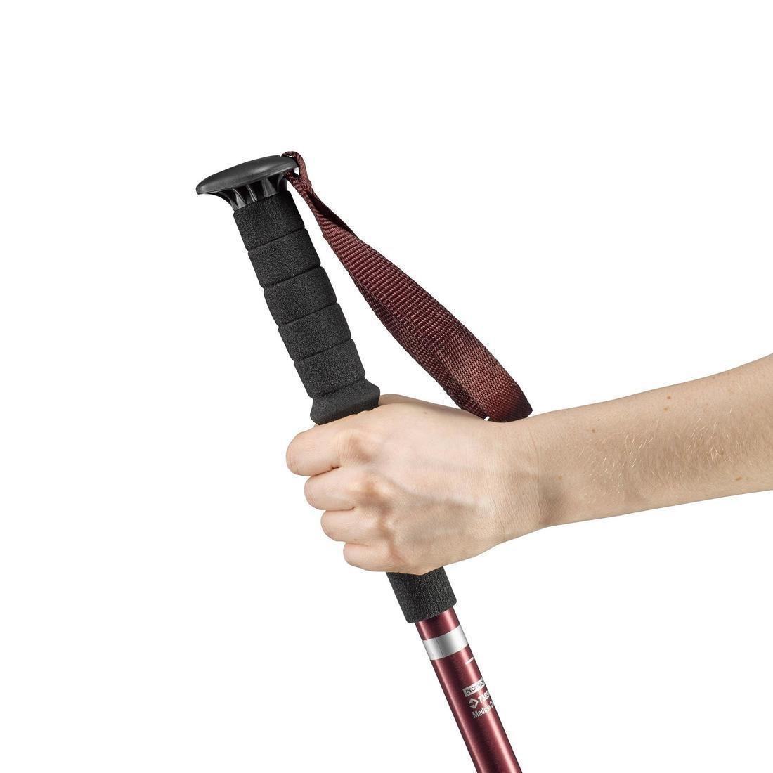 FORCLAZ - Easy Adjust Country Walking Pole | A200, Chocolate Truffle