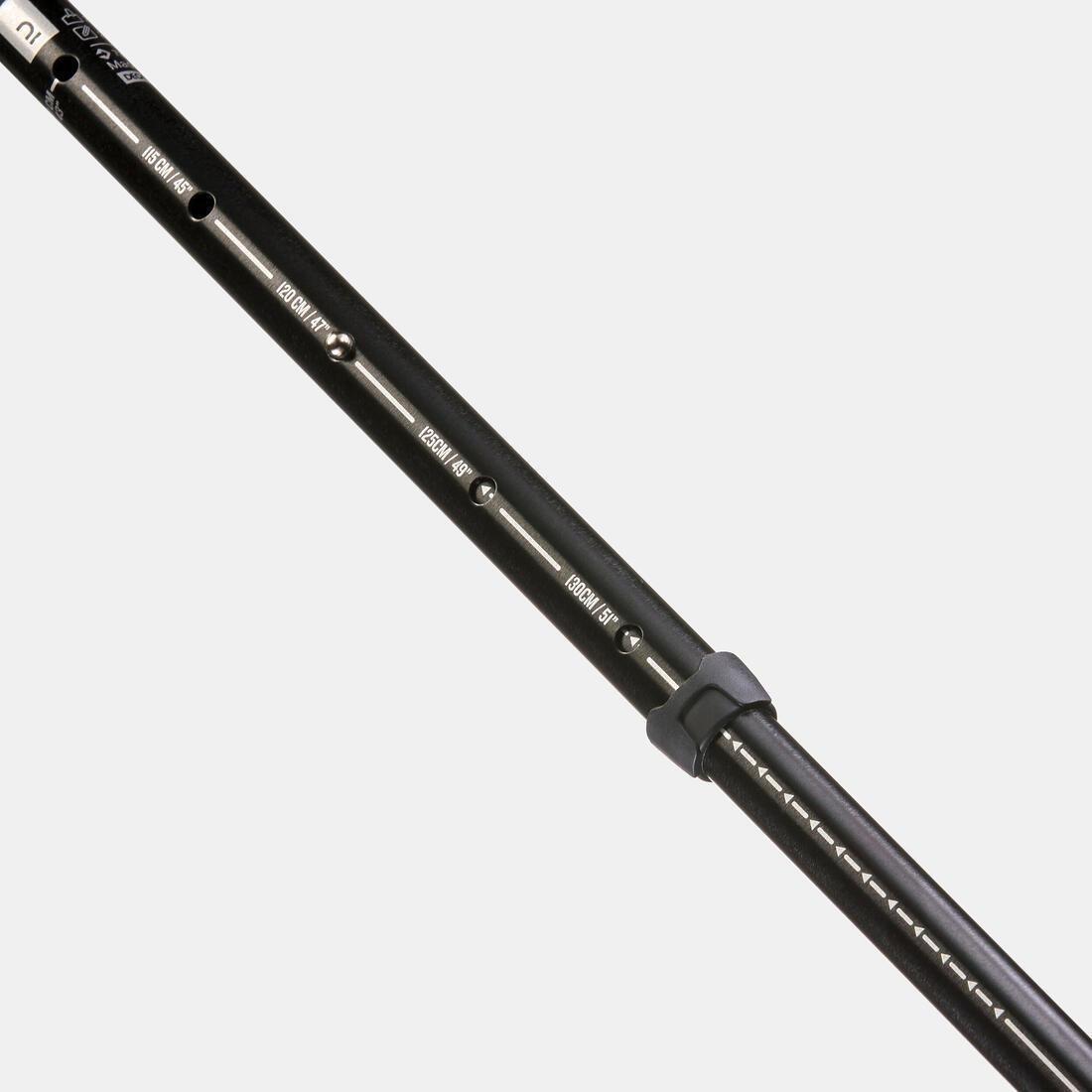 FORCLAZ - Easy Adjust Country Walking Pole | A200, Chocolate Truffle