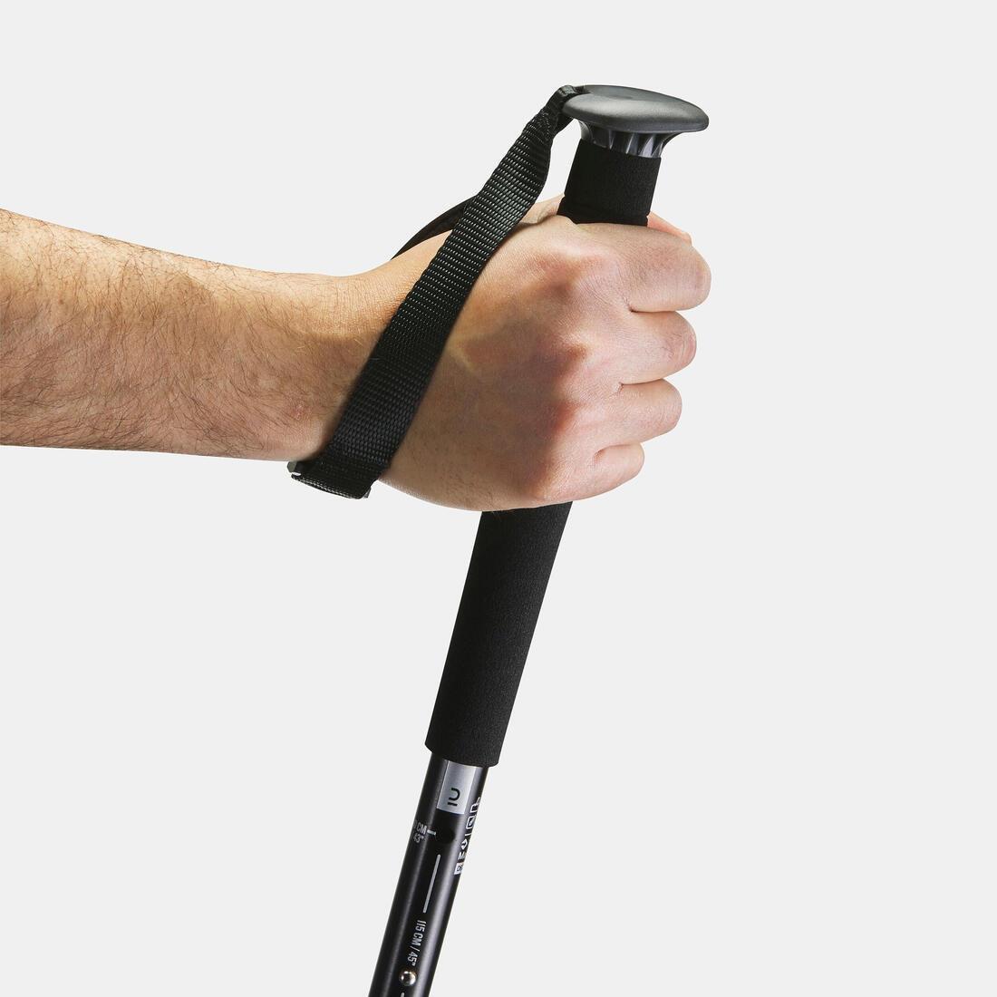 FORCLAZ - Easy Adjust Country Walking Pole | A200, Chocolate Truffle