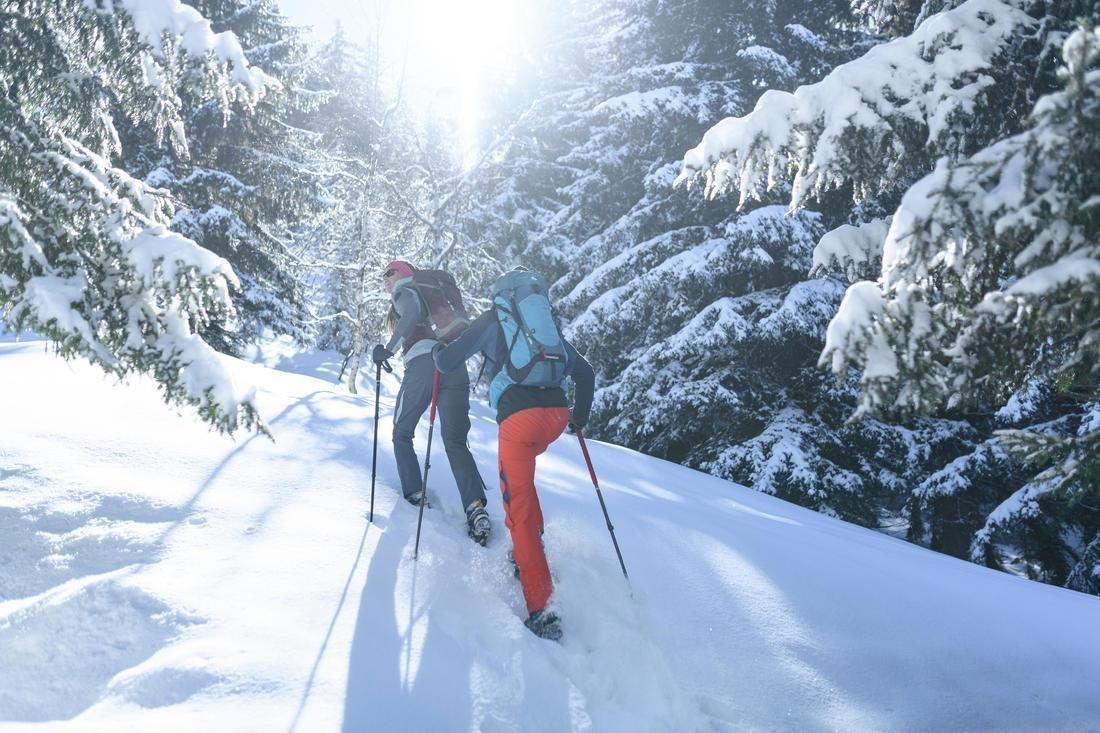 1 All Season Hiking Pole - MT500 All Season Red, brick red, No Color, large image number 2