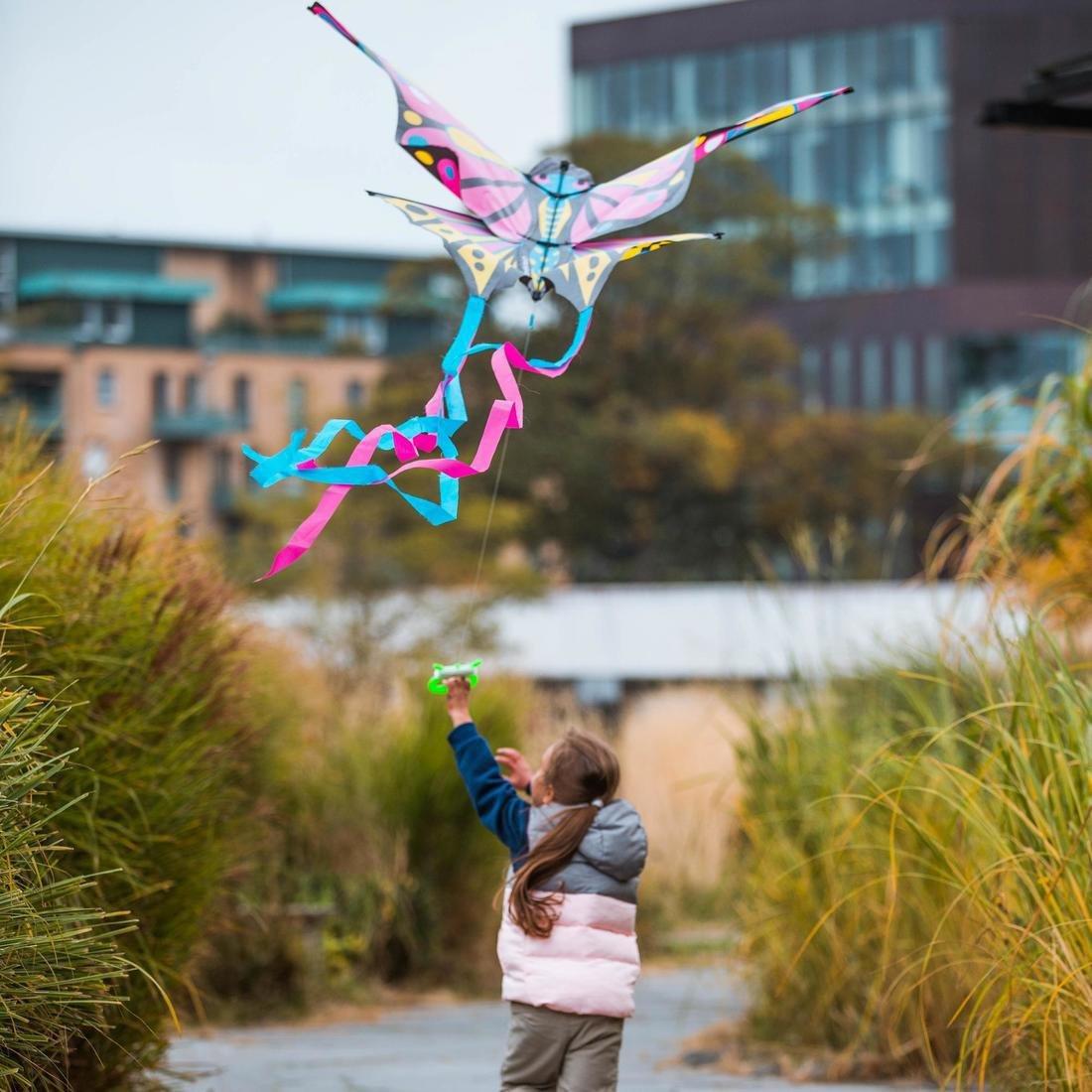MFK 160 Static Kite, Magenta, No Color, large image number 13