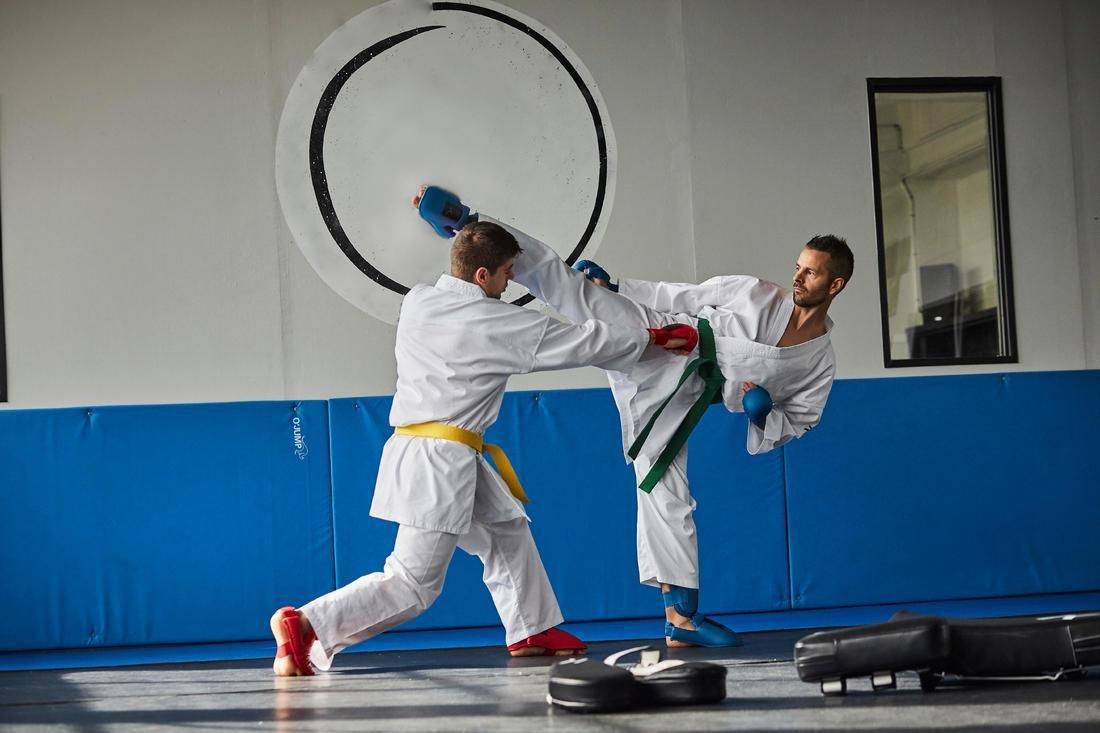 250 Adult Karate Gi, ultra white, No Color, large image number 12