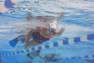 NABAIJI - Trainfins Long Swim Fins, Blue