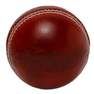 FLX - Non Toxic 4 Piece Cricket Leather Ball, Maroon