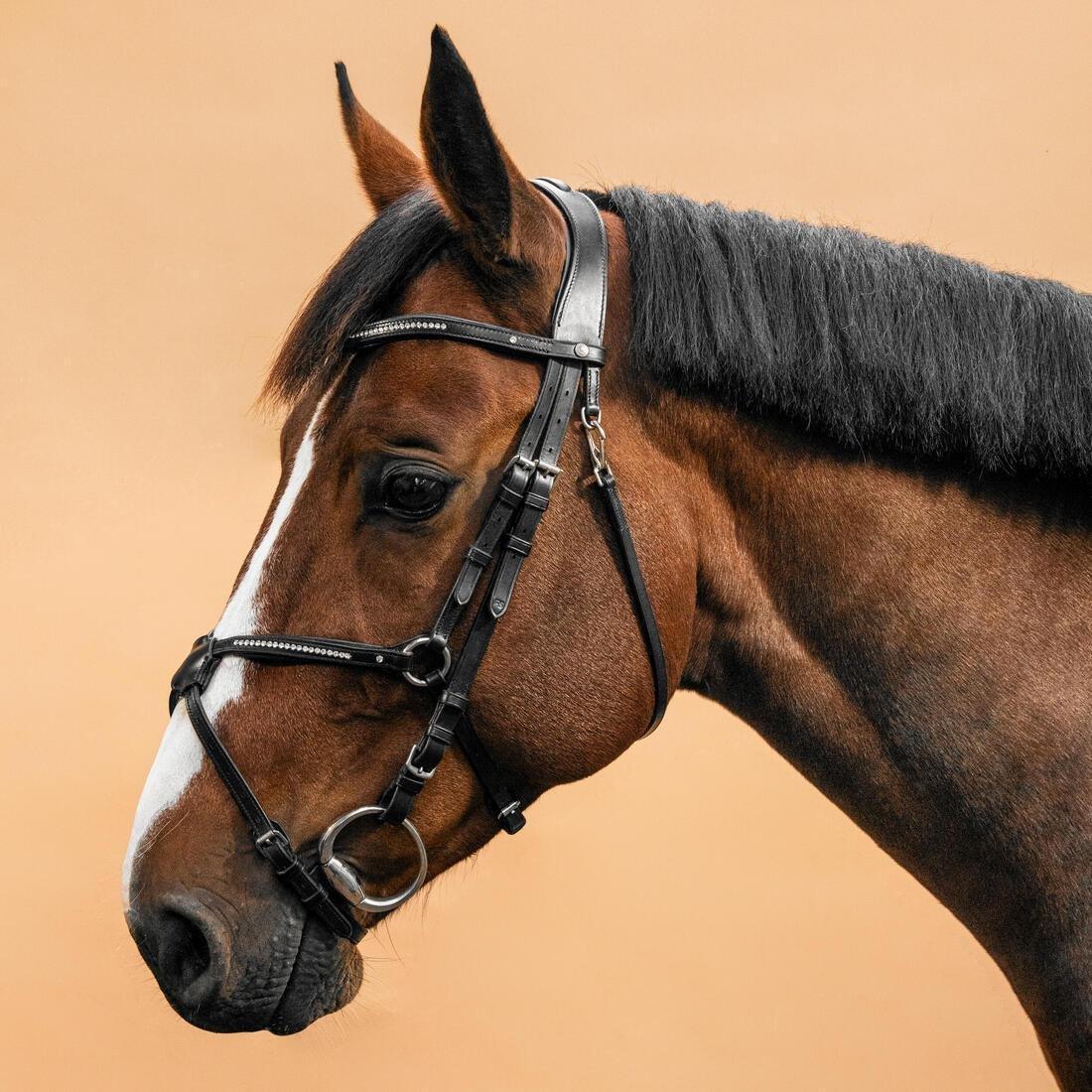 FOUGANZA--BRIDLE 580 XNB FS BL ACK STRASS, , large image number 0