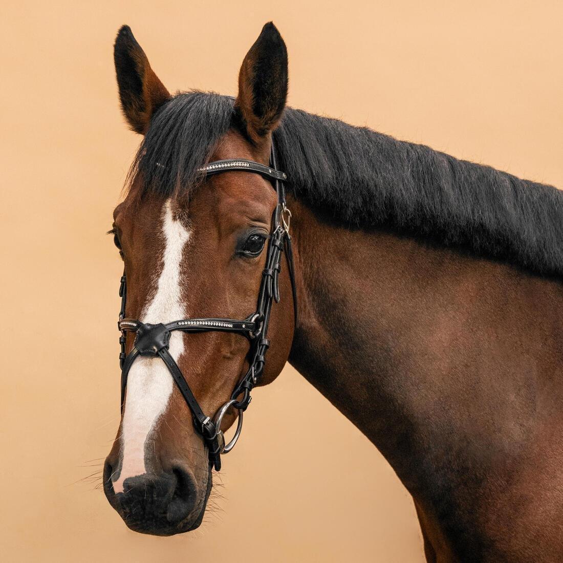 FOUGANZA--BRIDLE 580 XNB FS BL ACK STRASS, , large image number 1