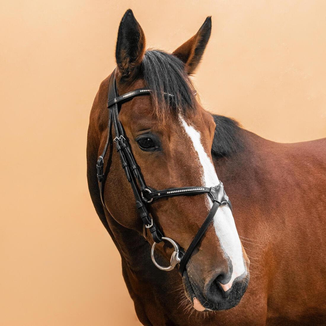 FOUGANZA--BRIDLE 580 XNB FS BL ACK STRASS, , large image number 2