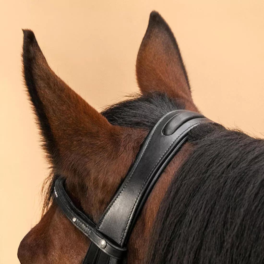 Horse Riding Leather Grackle Bridle for Horse and Pony - 580, Black, No Color, large image number 5