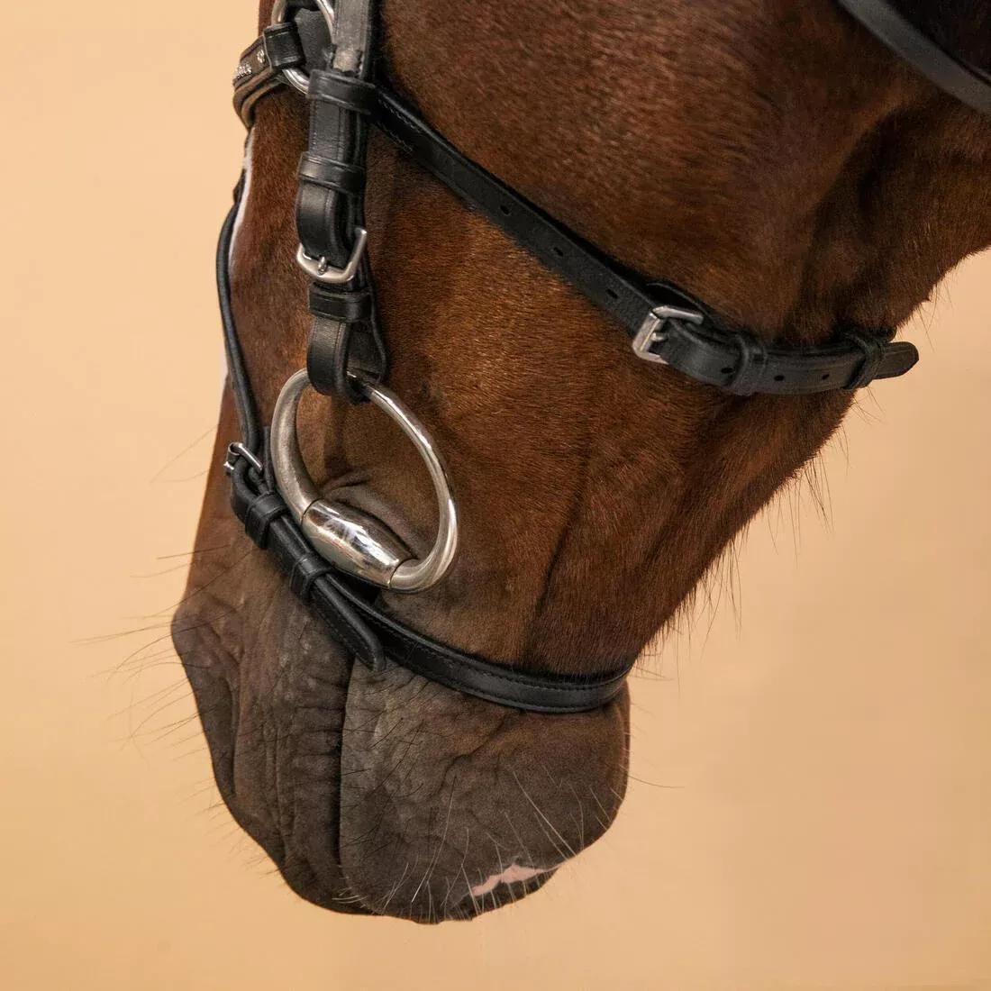 FOUGANZA--BRIDLE 580 XNB FS BL ACK STRASS, , large image number 7
