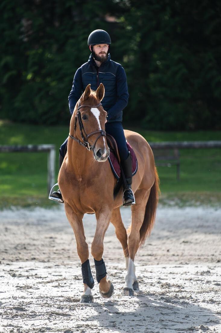 Horse Riding Brushing Boots for Horse and Pony Poly 500 Twin-Pack - Black, , large image number 4
