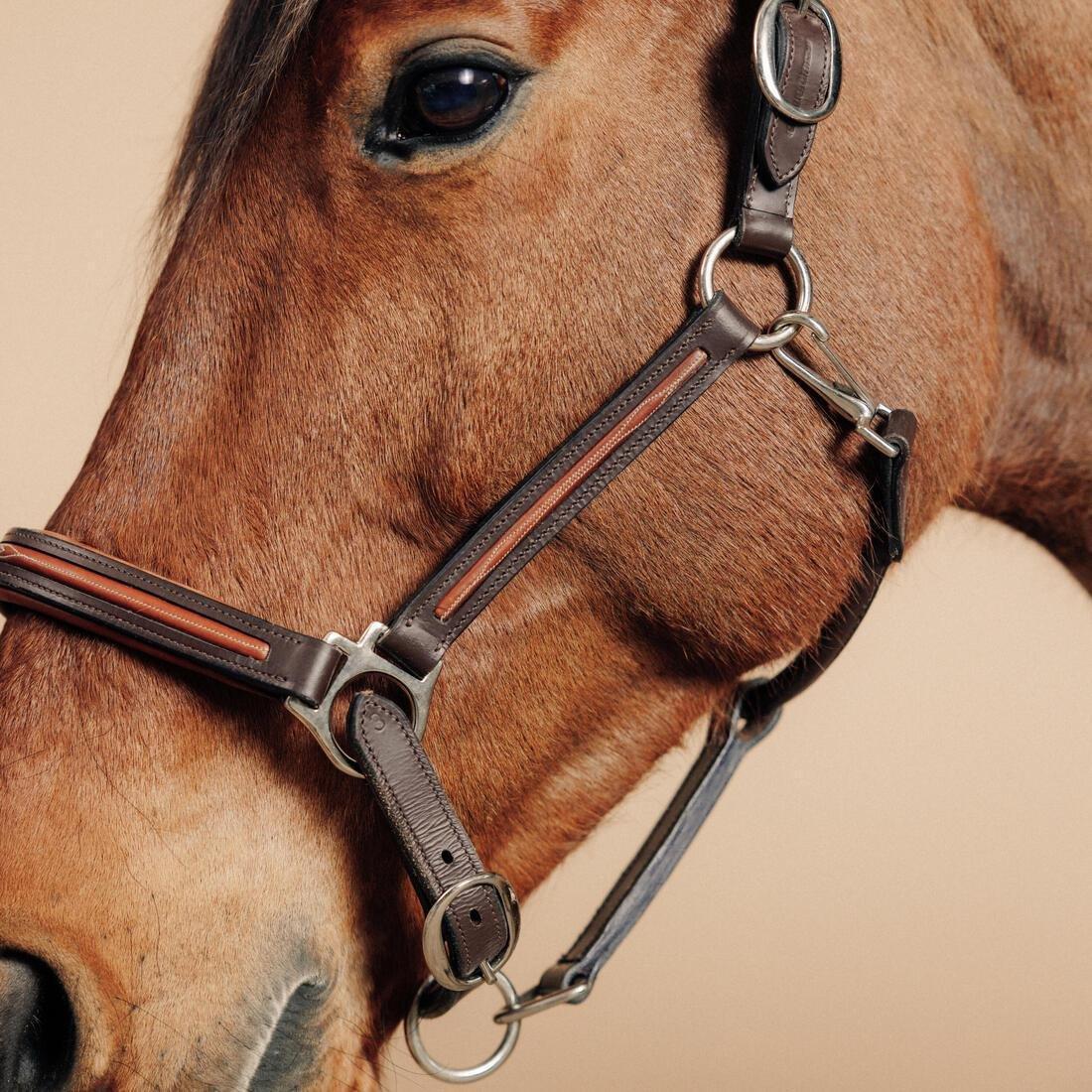 Horse Riding Leather Halter For Horse And Pony - 900, Brown, No Color, large image number 1