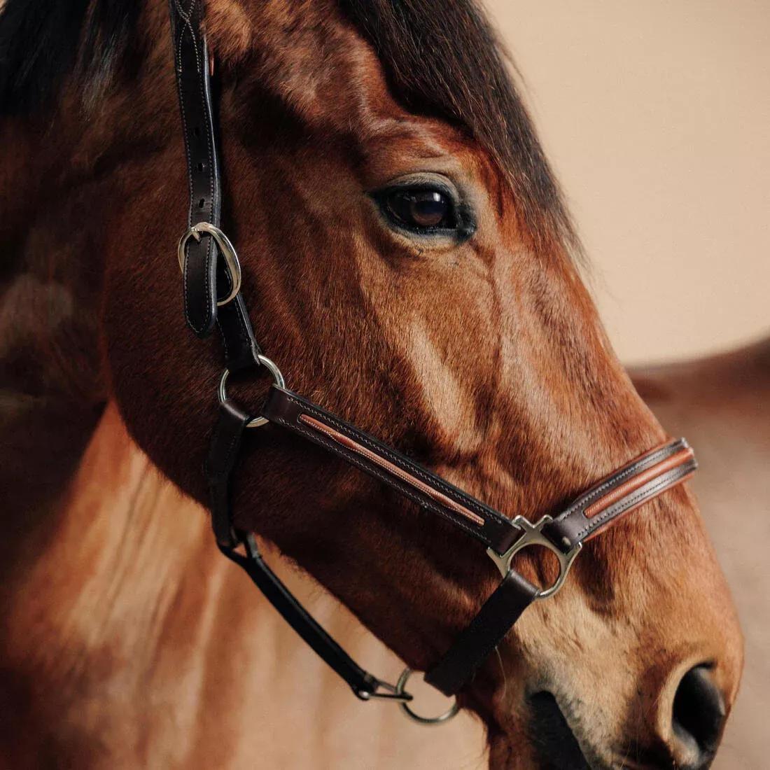 Horse Riding Leather Halter For Horse And Pony - 900, Brown, No Color, large image number 2