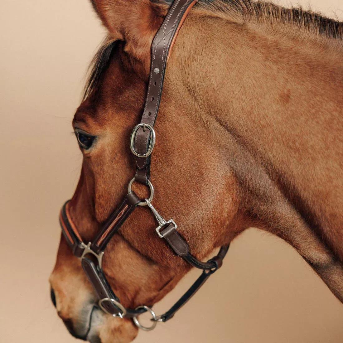 Horse Riding Leather Halter For Horse And Pony - 900, Brown, No Color, large image number 3