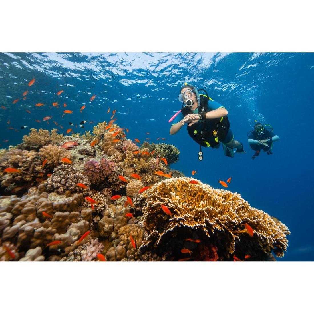 Unisex Diving Snorkel - 500 Soft, Blue, No Color, large image number 1