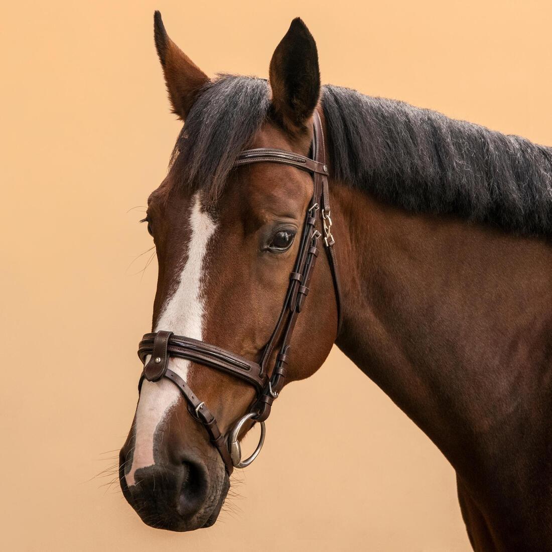 Horse & Pony Riding Leather French Noseband Bridle - 580 Glossy, Brown, No Color, medium