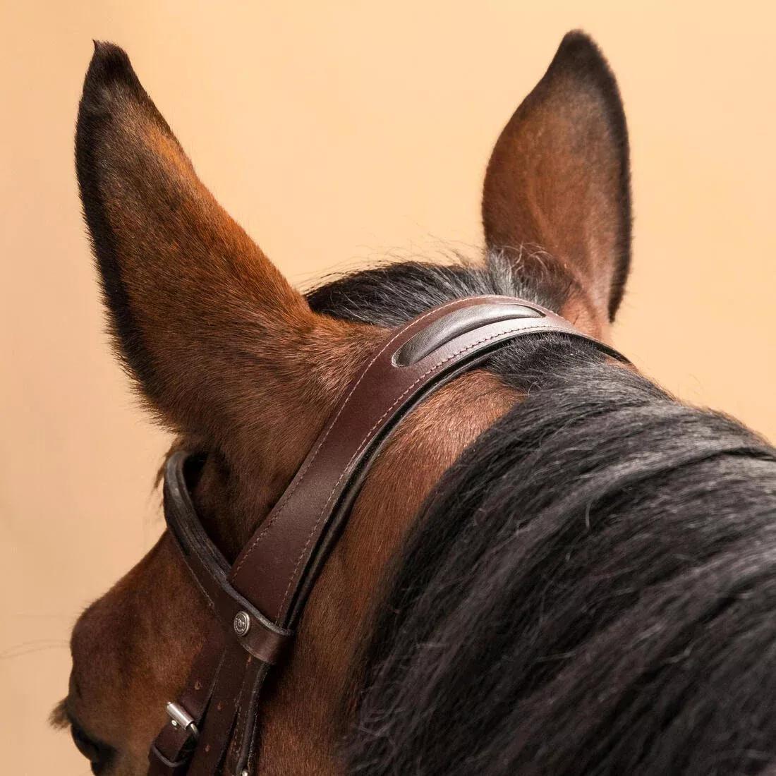 Horse & Pony Riding Leather French Noseband Bridle - 580 Glossy, Brown, No Color, large image number 3