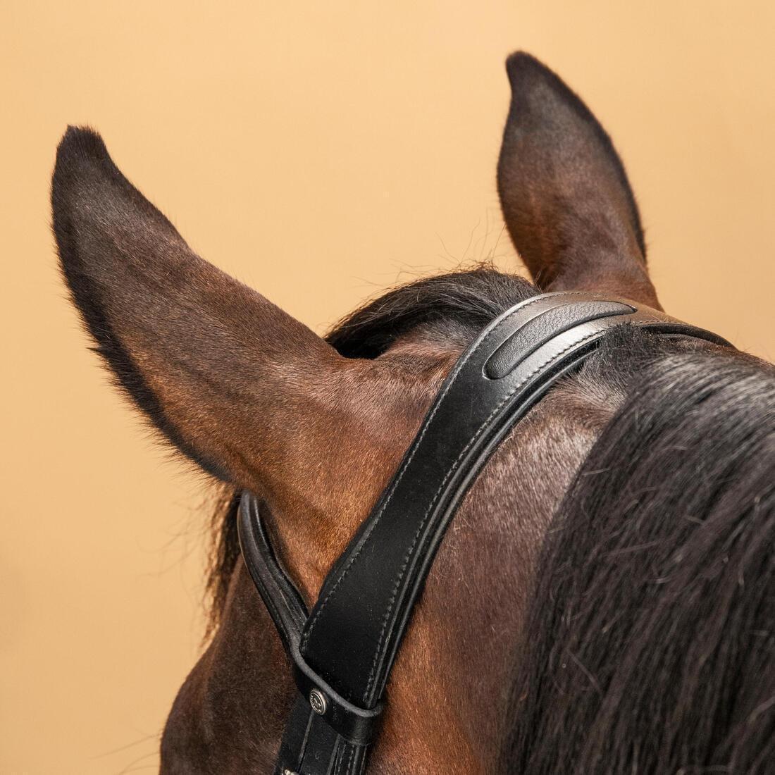 Horse & Pony Riding Leather French Noseband Bridle - 580 Glossy, Brown, No Color, large image number 4