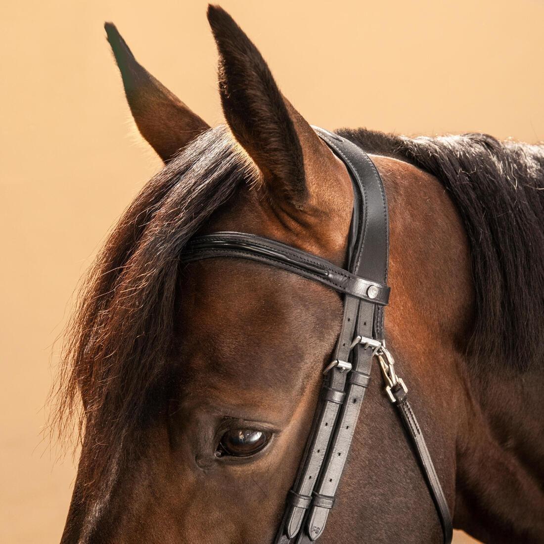 Horse & Pony Riding Leather French Noseband Bridle - 580 Glossy, Brown, No Color, large image number 5
