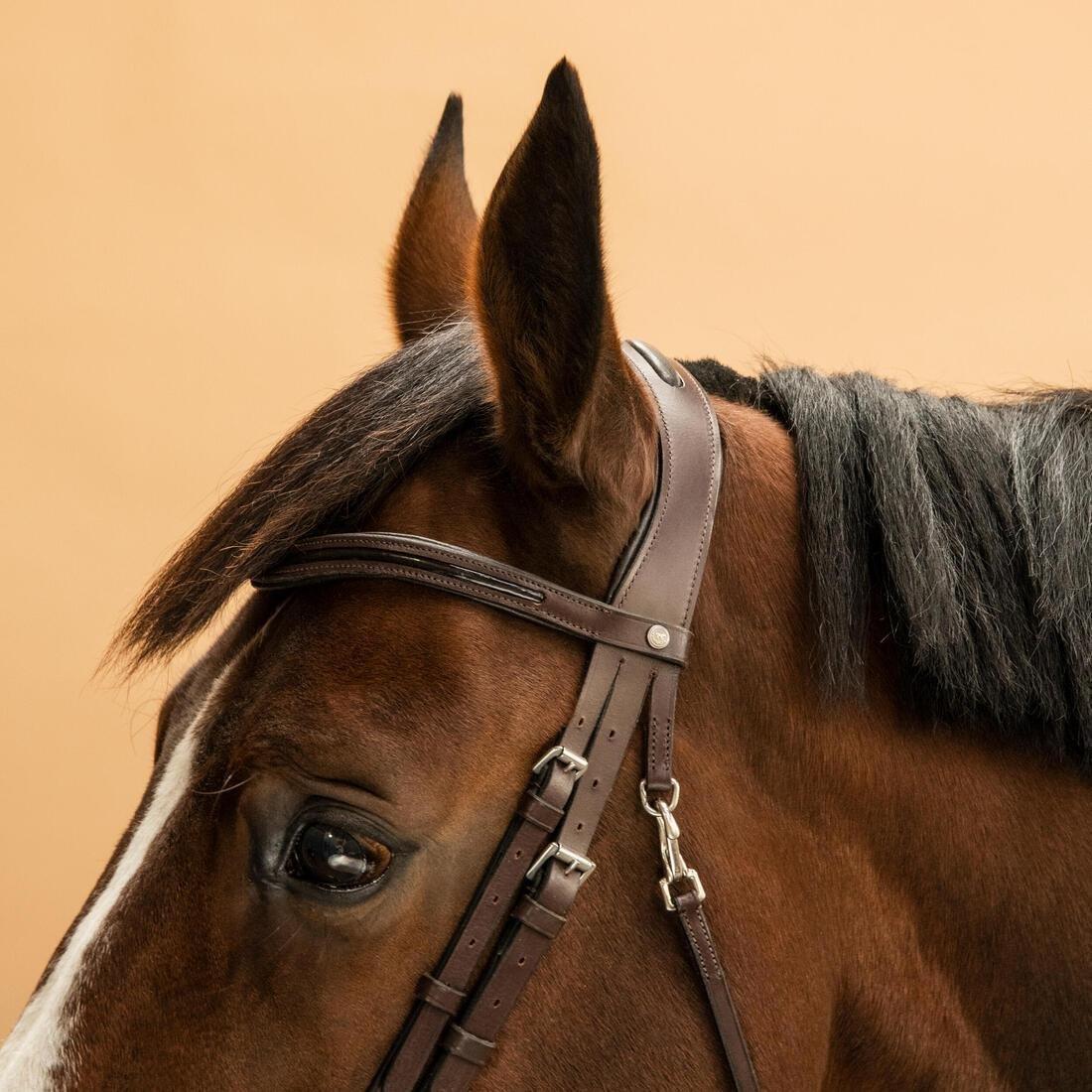 Horse & Pony Riding Leather French Noseband Bridle - 580 Glossy, Brown, No Color, large image number 6