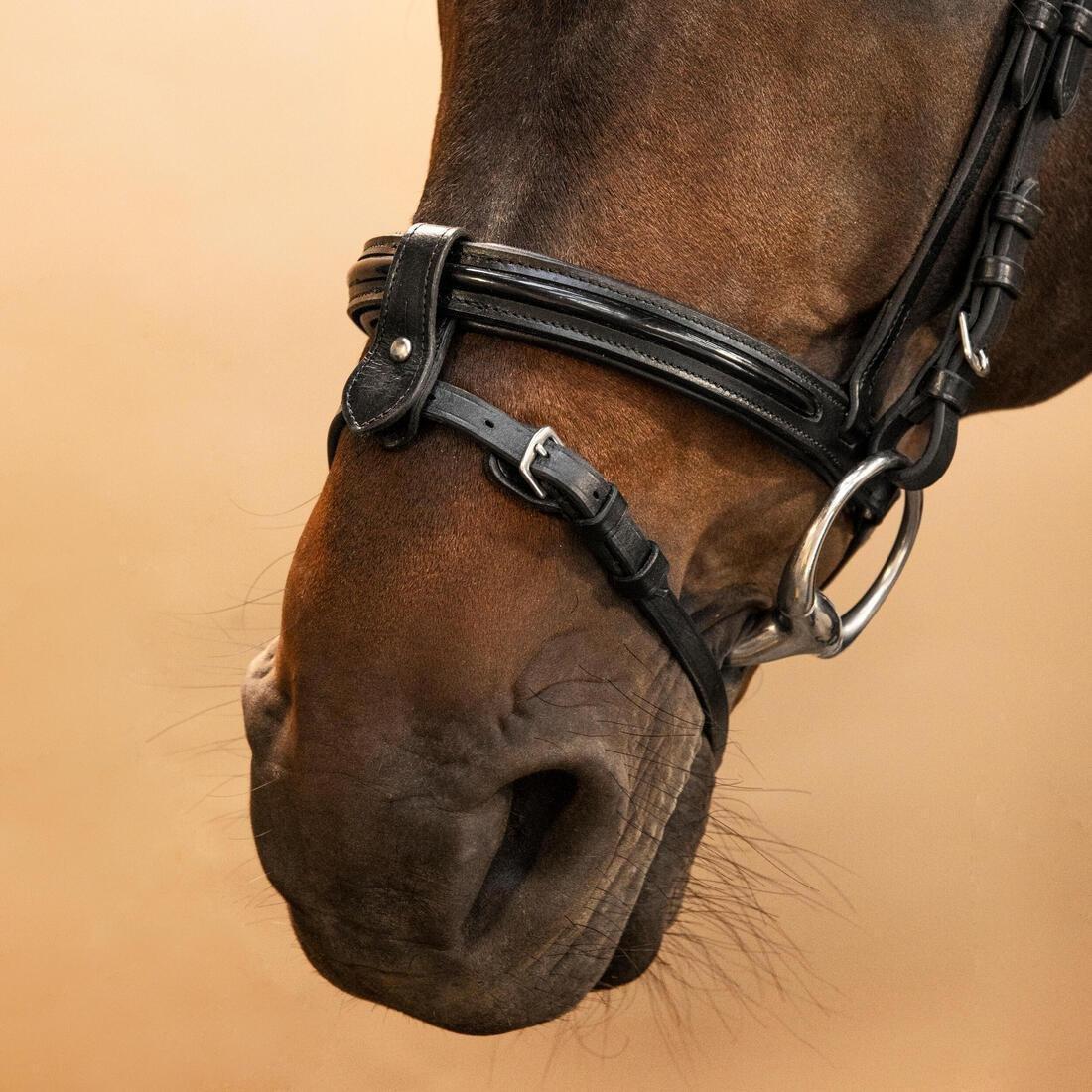 Horse & Pony Riding Leather French Noseband Bridle - 580 Glossy, Brown, No Color, large image number 7