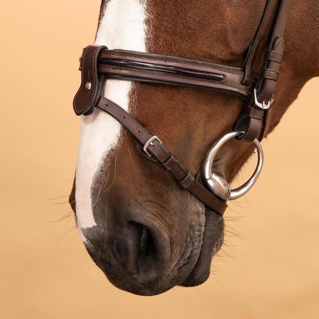 Horse & Pony Riding Leather French Noseband Bridle - 580 Glossy, Brown, No Color, large image number 8