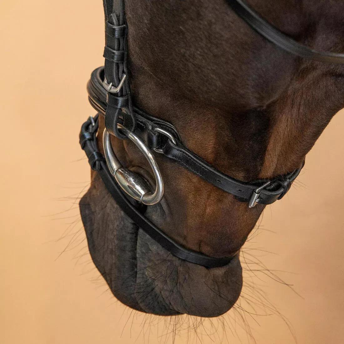 Horse & Pony Riding Leather French Noseband Bridle - 580 Glossy, Brown, No Color, large image number 9