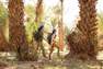 FORCLAZ - Womens Desert 500 Long-Sleeved Trekking Shirt, Beige