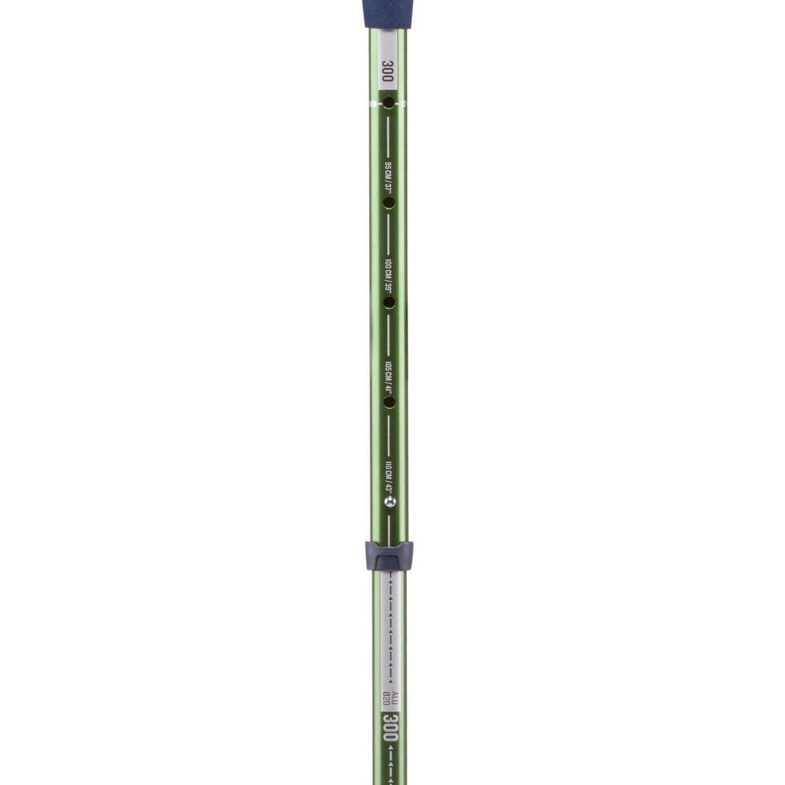 Ergonomic Walking Pole, Green, No Color, large image number 5