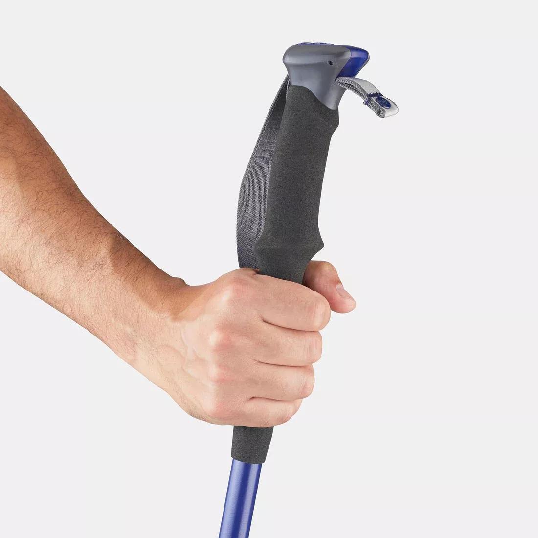 Quick-Adjustment Walking Pole, Black, No Color, large image number 14