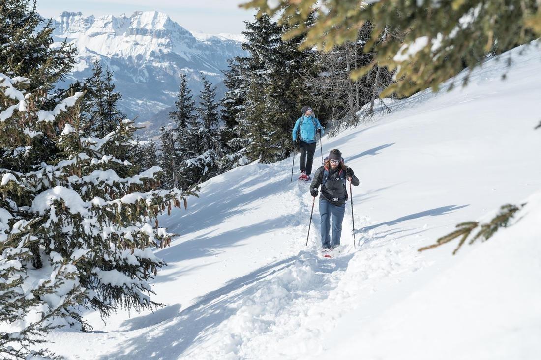 Mid-Deck Snowshoes - Quechua Sh100, Blue, No Color, large image number 3