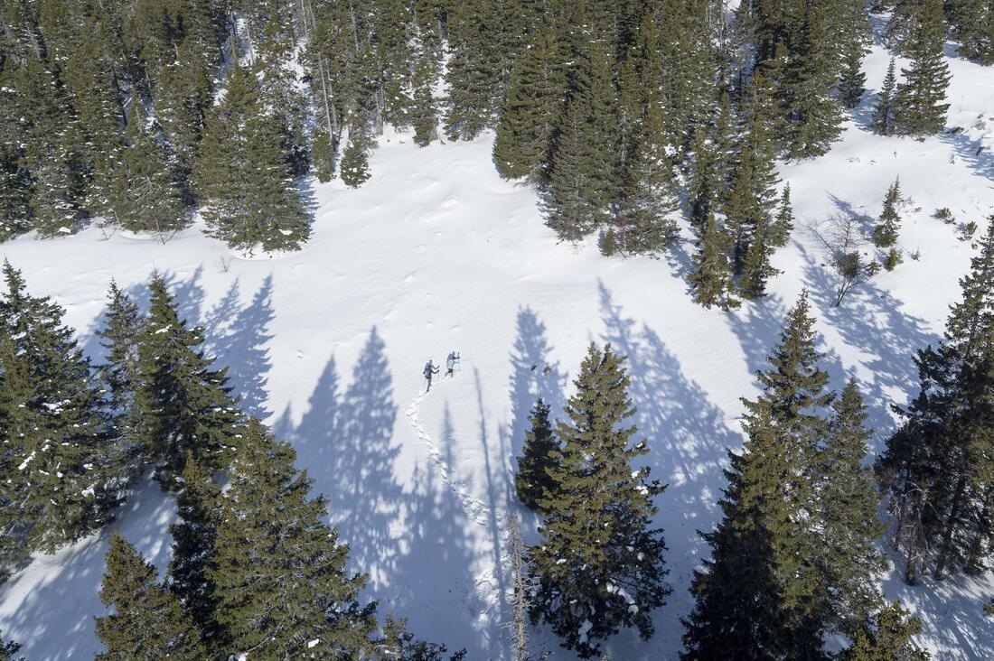 Men Snow Hiking Warm Water Repellent Stretch Trousers Sh500 X-Warm, Black, No Color, large image number 14