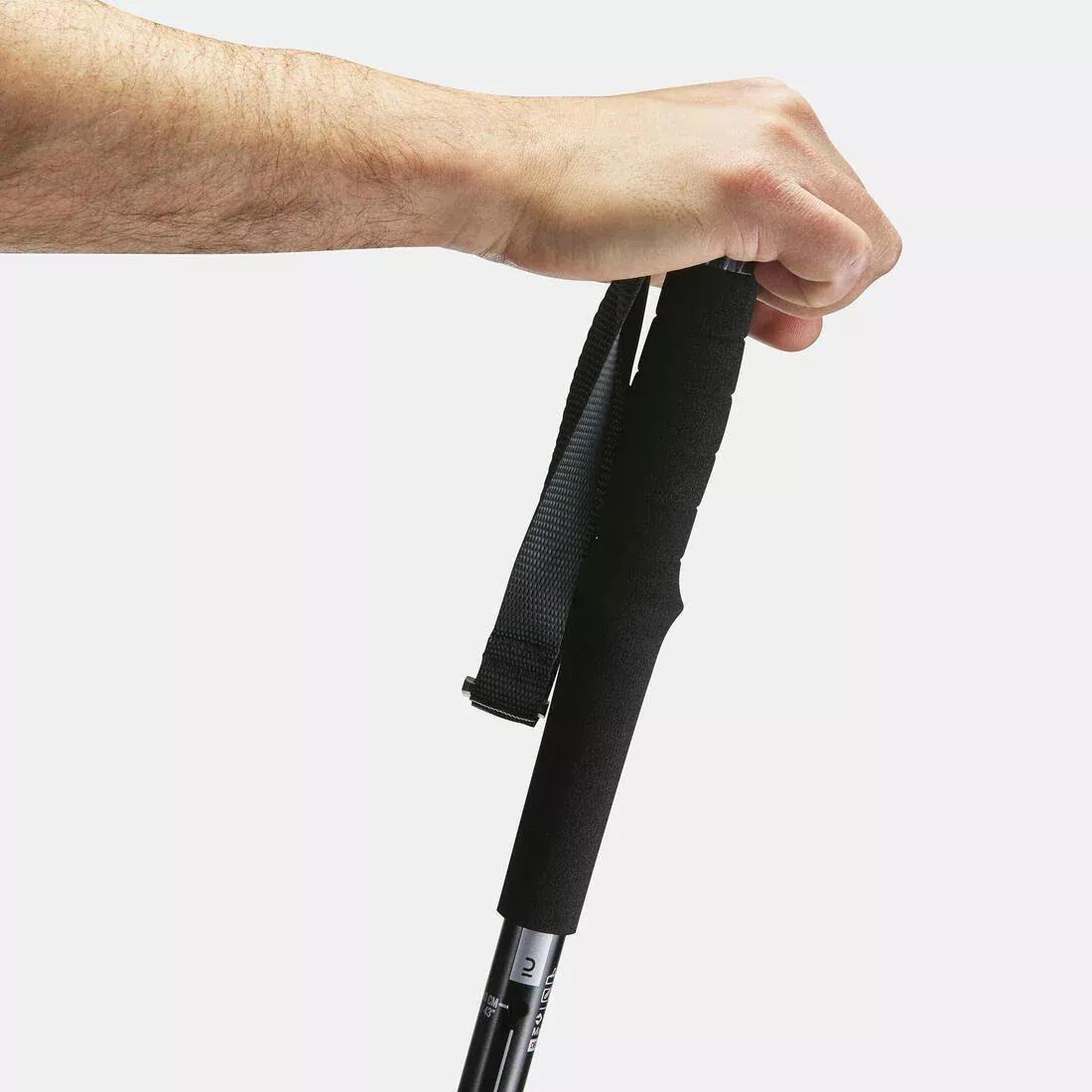 Easy Adjust Country Walking Pole A200, Black, No Color, large image number 4