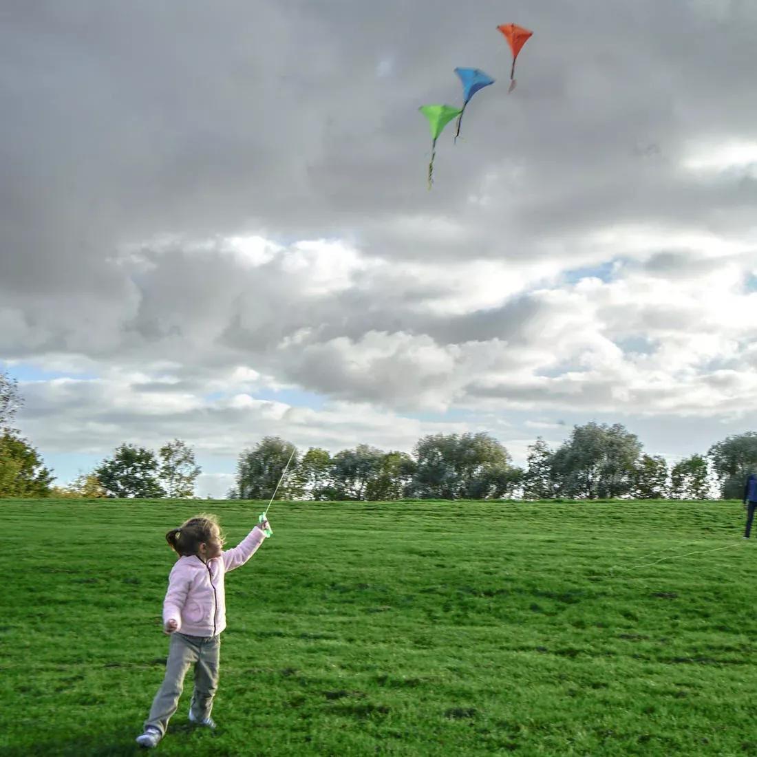 100 Kite, Red, , large image number 14
