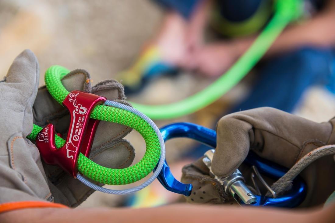 Karo, Red, No Color, large image number 3